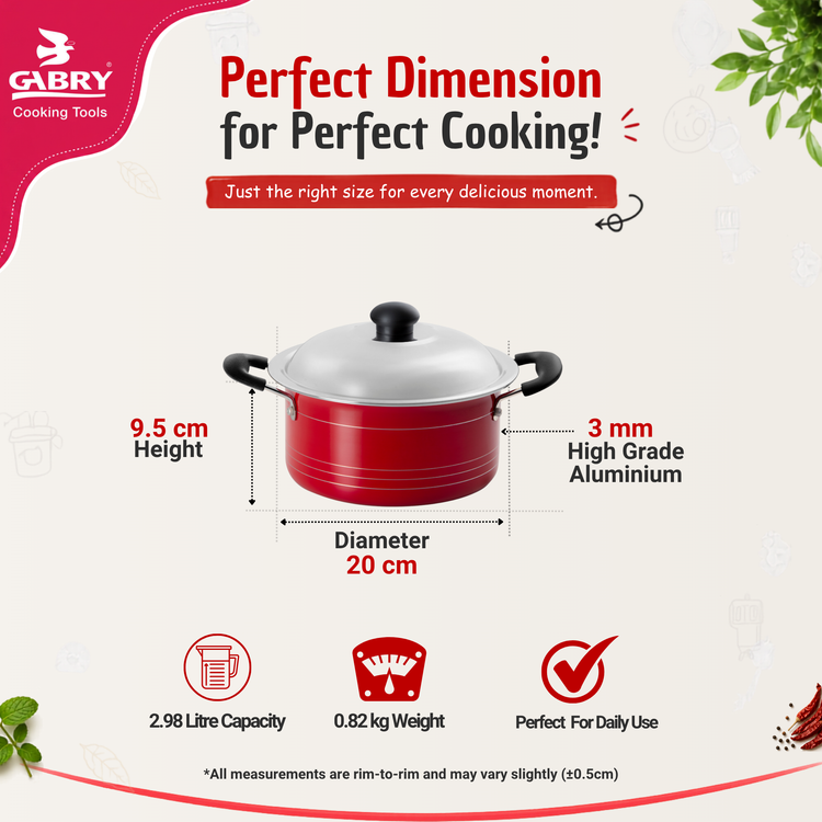 Gabry Non-Stick Stew Pot 20 cm | Steel Lid | Elegant Series