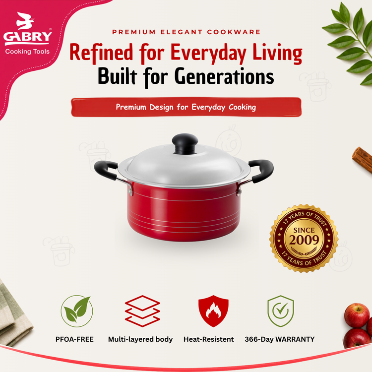 Gabry Non-Stick Stew Pot 20 cm | Steel Lid | Elegant Series
