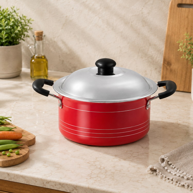 Gabry Non-Stick Stew Pot 20 cm | Steel Lid | Elegant Series