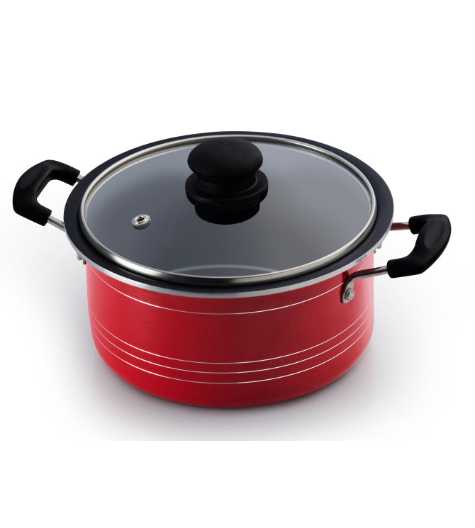 Stew Pot With Glass Lid