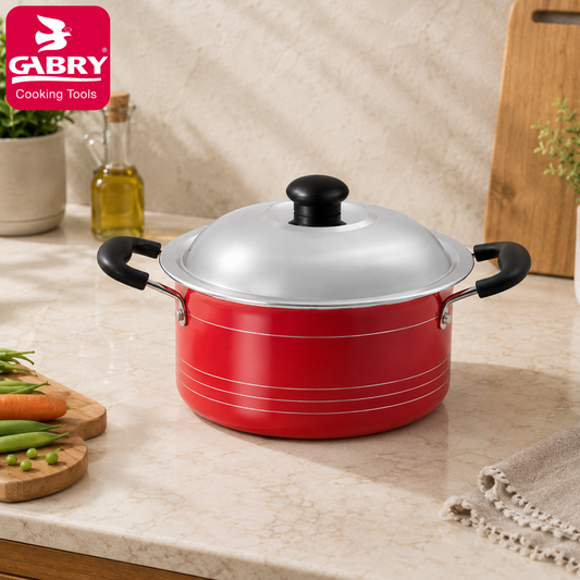 Gabry Non-Stick Stew Pot 20 cm | Steel Lid | Elegant Series
