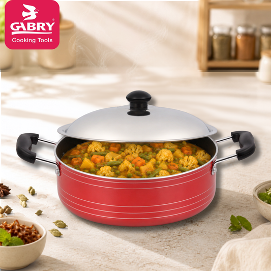 Gabry Non-Stick Induction Cooking Pot | PFOA-Free | 3-Layer | Steel Lid